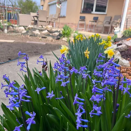 Garden Villa