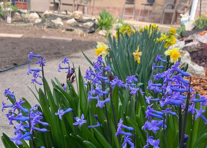 Garden Free Parking And Air Conditioning Willa