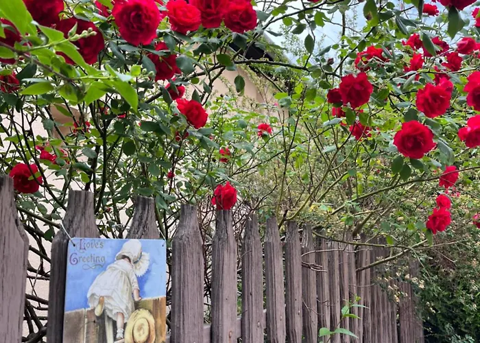 Garden Free Parking And Air Conditioning *