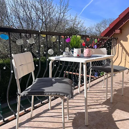 Garden Free Parking And Air Conditioning 布达佩斯