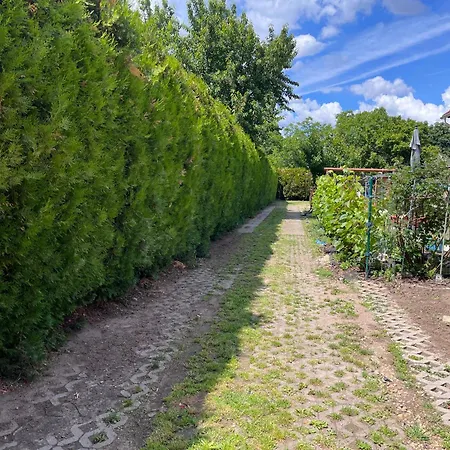 Garden Free Parking And Air Conditioning 布达佩斯