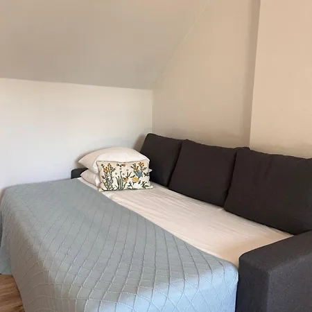 Garden Free Parking And Air Conditioning 别墅 布达佩斯