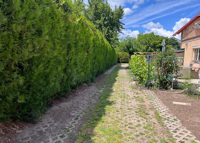 Garden Free Parking And Air Conditioning Budapest